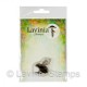 Lavinia Stamps SMALL FROG