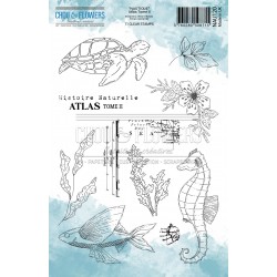 CHOU & FLOWERS TAMPONS CLEAR ATLAS TOME II
