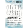 CHOU & FLOWERS TAMPONS CLEAR SYMPHONIE
