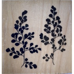 PENNY BLACK WOOD Stamps - Maidenhairs