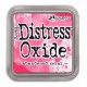 DISTRESS OXIDE ABANDONED CORAL