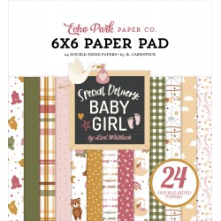 ECHO PARK SPECIAL DELIVERY BABY GIRL 6x6 Paper Pad 15x15cm