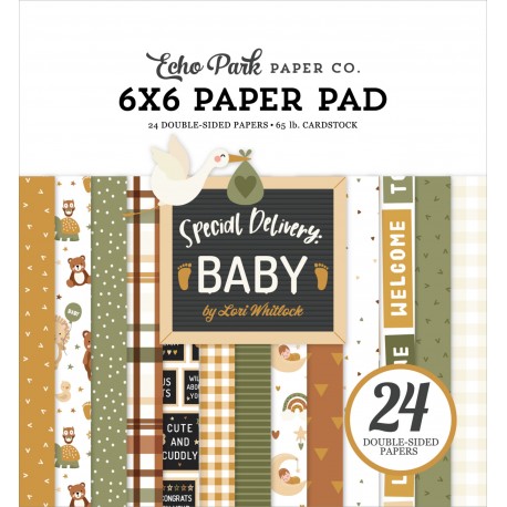 ECHO PARK SPECIAL DELIVERY BABY BOY 6x6 Paper Pad 15x15cm