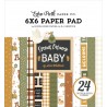 ECHO PARK SPECIAL DELIVERY BABY BOY 6x6 Paper Pad 15x15cm