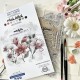 CHOU & FLOWERS TAMPONS CLEAR LES FLEURS "SOLEIL LEVANT"