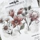 CHOU & FLOWERS TAMPONS CLEAR LES FLEURS "SOLEIL LEVANT"