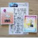 SPELLBINDERS SILLY GOOSE STAMP & DIE BUNDLE by SIMON HURLEY