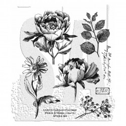 Tim Holtz STAMPERS ANONYMUS FRENCH GARDEN Cling stamps