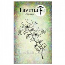 Lavinia Stamps HONEYSUCKLE