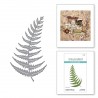 SPELLBINDERS WOODLAND TALES - FERN ETCHED DIES