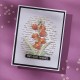 Spellbinders BETTERPRESS PLATE SCRIPT (Ecriture )