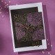 Spellbinders BETTERPRESS PLATE SCRIPT (Ecriture )