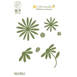 HA-PI DIES MARGUERITES " CITRONNADE"