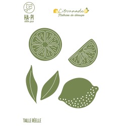 HA-PI DIES CITRONS " CITRONNADE"