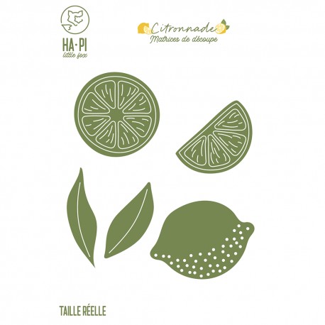 HA-PI DIES CITRONS " CITRONNADE"