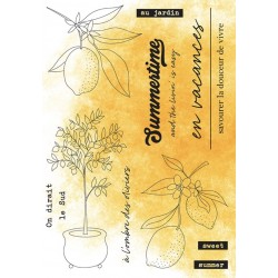 HA-PI TAMPON CLEAR CITRONNIER "CITRONNADE"
