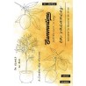 HA-PI TAMPON CLEAR CITRONNIER "CITRONNADE"