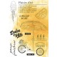 HA-PI TAMPON CLEAR PLAISIRS D'ETE "CITRONNADE"