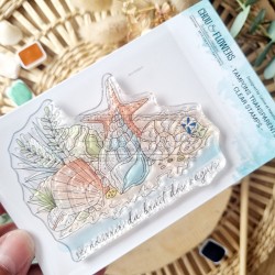 CHOU & FLOWERS TAMPONS CLEAR LES COQUILLAGES "REVE AZUR"