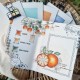 CHOU & FLOWERS TAMPONS CLEAR DL LESSIVES D'ETE "REVE AZUR"