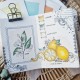 CHOU & FLOWERS TAMPONS CLEAR DL MOSAIQUE D'ETE "REVE AZUR"
