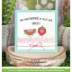 LAWN FAWN CLEAR STAMPS - SUMMER FRIENDS