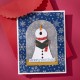 Spellbinders BETTERPRESS PLATE SNOWFALL SHIMMER