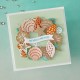 HERO ARTS SOPHISTICATED SHELLS ETCHED DIES