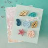 HERO ARTS SOPHISTICATED SHELLS ETCHED DIES