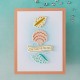 HERO ARTS SOPHISTICATED SHELLS ETCHED DIES