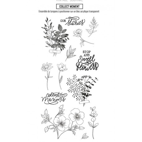 LES ATELIERS DE KARINE "VINTAGE JOURNAL" Tampon Clear COLLECT MOMENT