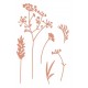 LES ATELIERS DE KARINE "VINTAGE JOURNAL" DIES SET GRAMINEES