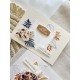FLORILEGES KIT CREATIF CARTES "GINKGO"