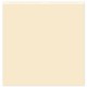 FLORILEGES DESIGN PAPIER UNI DUO VANILLE 30,5 x 30,5 cm GINKGO