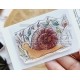CHOU & FLOWERS TAMPONS CLEAR L'ESCARGOT "OREE DES BOIS"