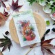 CHOU & FLOWERS TAMPONS CLEAR FILLE DES BOIS "OREE DES BOIS"