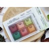 CHOU & FLOWERS TAMPONS CLEAR ECHANTILLON "OREE DES BOIS"