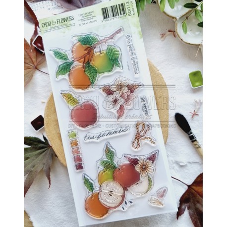 CHOU & FLOWERS TAMPONS CLEAR DL LES POMMES "OREE DES BOIS"