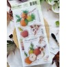 CHOU & FLOWERS TAMPONS CLEAR DL LES POMMES "OREE DES BOIS"