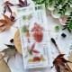 CHOU & FLOWERS TAMPONS CLEAR DL DANS LA LUMIERE "OREE DES BOIS"