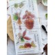 CHOU & FLOWERS TAMPONS CLEAR DL DANS LA LUMIERE "OREE DES BOIS"