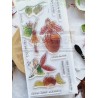CHOU & FLOWERS TAMPONS CLEAR DL DANS LA LUMIERE "OREE DES BOIS"