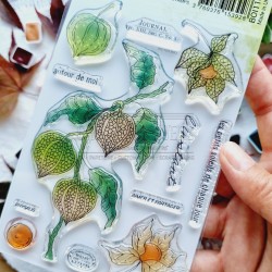 CHOU & FLOWERS TAMPONS CLEAR PHYSALIS "OREE DES BOIS"