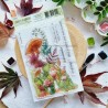 CHOU & FLOWERS TAMPONS CLEAR MUSHROOMS "OREE DES BOIS"
