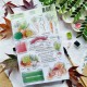 CHOU & FLOWERS TAMPONS CLEAR LEGUMES DE SAISON "OREE DES BOIS"