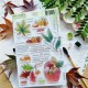 CHOU & FLOWERS TAMPONS CLEAR AMBIANCE SOUS-BOIS "OREE DES BOIS"