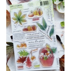 CHOU & FLOWERS TAMPONS CLEAR AMBIANCE SOUS-BOIS "OREE DES BOIS"