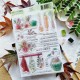 CHOU & FLOWERS TAMPONS CLEAR EN CUISINE "OREE DES BOIS"
