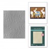 SPELLBINDERS stars and fronds frame 3D EMBOSSING FOLDER