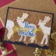SPELLBINDERS stars and fronds frame 3D EMBOSSING FOLDER